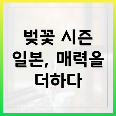 벚꽃 시즌 일본, 매력을 더하다