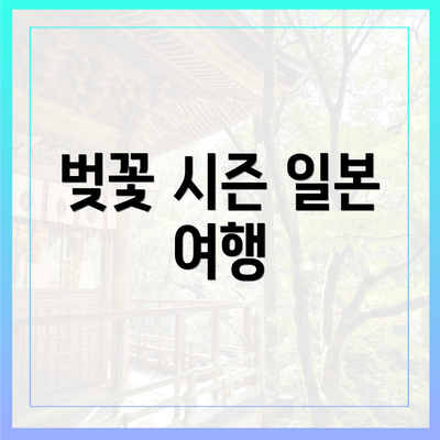벚꽃 시즌 일본 여행