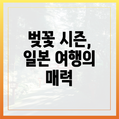벚꽃 시즌, 일본 여행의 매력