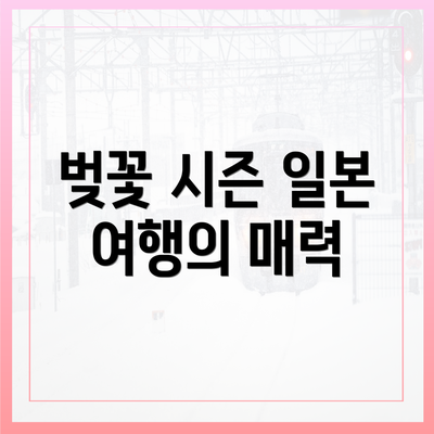 벚꽃 시즌 일본 여행의 매력