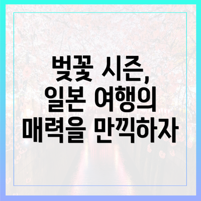 벚꽃 시즌, 일본 여행의 매력을 만끽하자