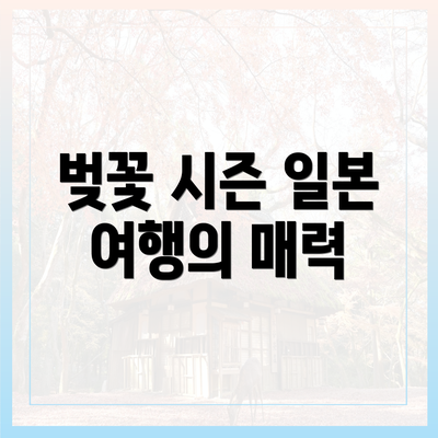 벚꽃 시즌 일본 여행의 매력