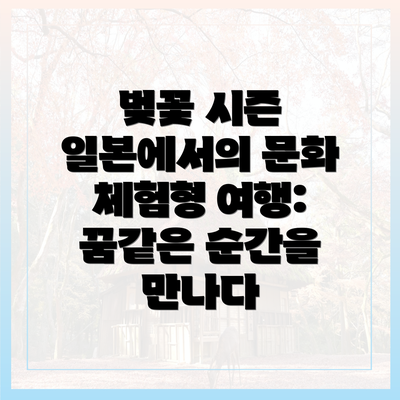 벚꽃 시즌 일본에서의 문화 체험형 여행: 꿈같은 순간을 만나다
