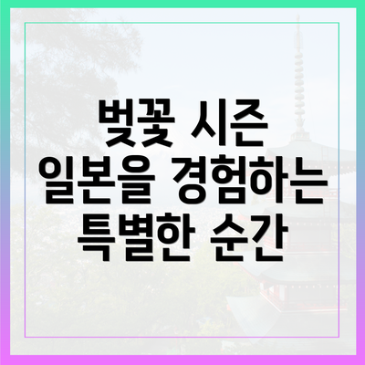 벚꽃 시즌 일본을 경험하는 특별한 순간
