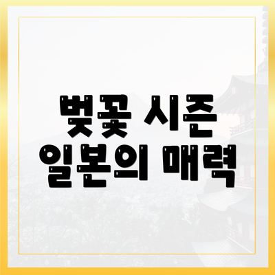 벚꽃 시즌 일본의 매력