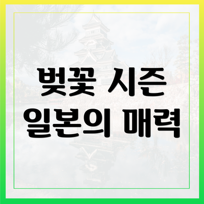 벚꽃 시즌 일본의 매력