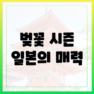 벚꽃 시즌 일본의 매력