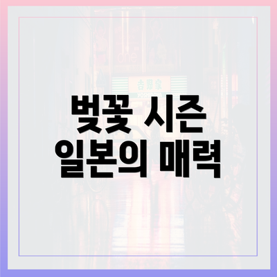 벚꽃 시즌 일본의 매력