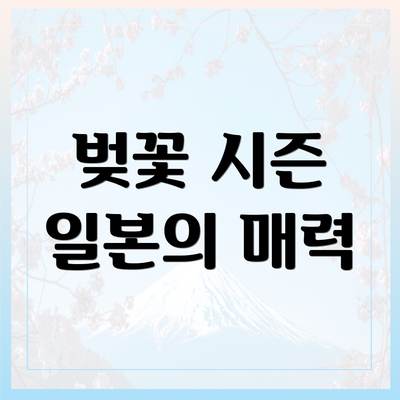 벚꽃 시즌 일본의 매력
