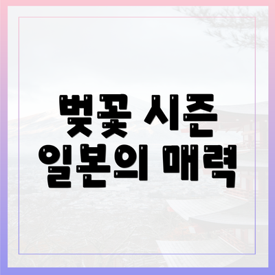 벚꽃 시즌 일본의 매력