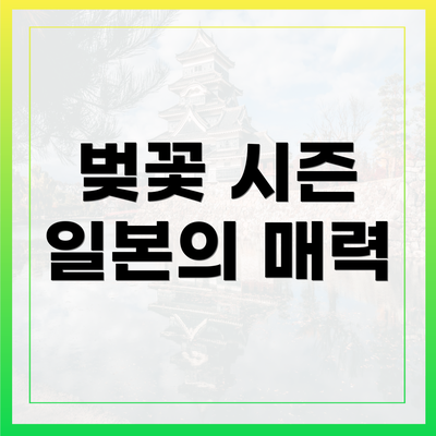 벚꽃 시즌 일본의 매력
