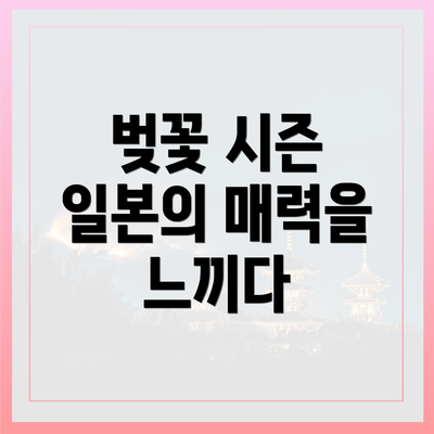 벚꽃 시즌 일본의 매력을 느끼다