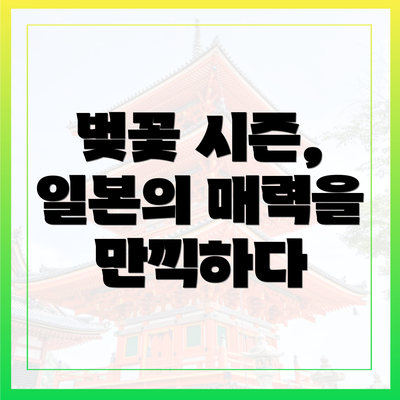 벚꽃 시즌, 일본의 매력을 만끽하다