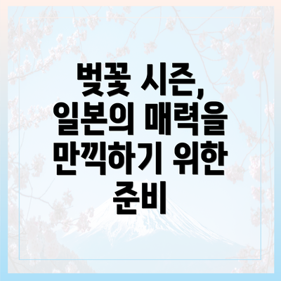 벚꽃 시즌, 일본의 매력을 만끽하기 위한 준비