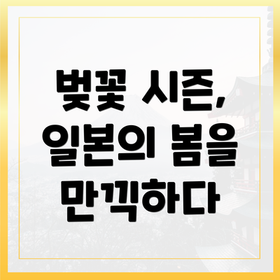 벚꽃 시즌, 일본의 봄을 만끽하다