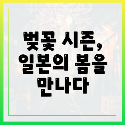 벚꽃 시즌, 일본의 봄을 만나다