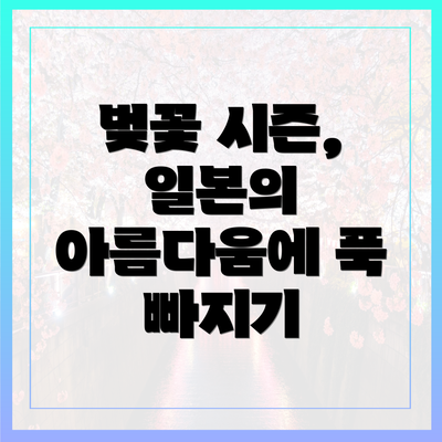 벚꽃 시즌, 일본의 아름다움에 푹 빠지기