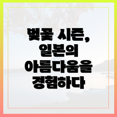 벚꽃 시즌, 일본의 아름다움을 경험하다