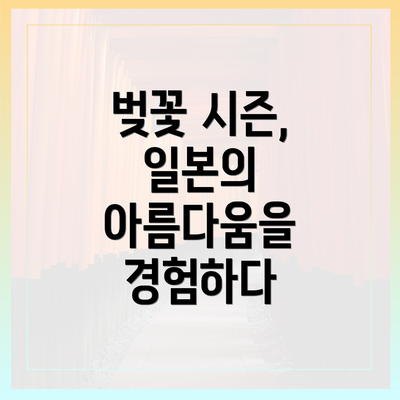 벚꽃 시즌, 일본의 아름다움을 경험하다