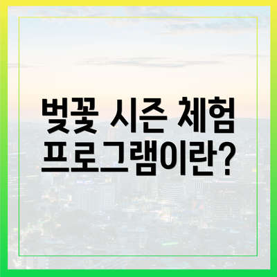 벚꽃 시즌 체험 프로그램이란?