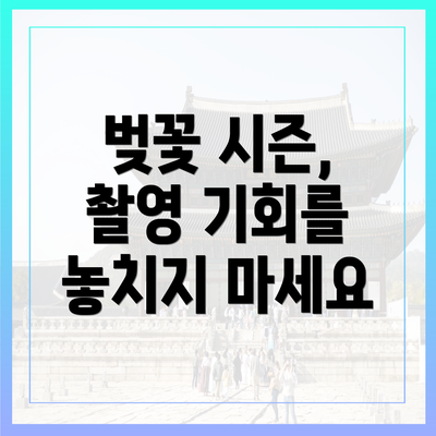 벚꽃 시즌, 촬영 기회를 놓치지 마세요