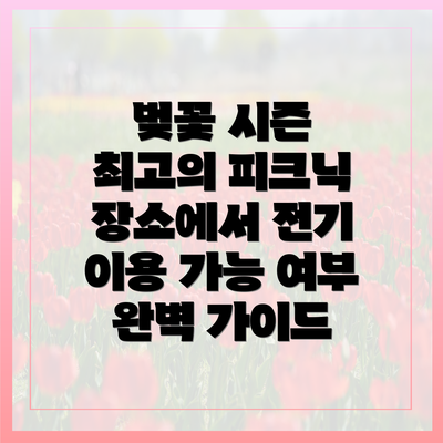 벚꽃 시즌 최고의 피크닉 장소에서 전기 이용 가능 여부 완벽 가이드