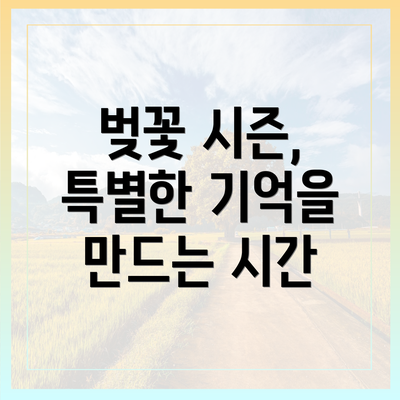 벚꽃 시즌, 특별한 기억을 만드는 시간
