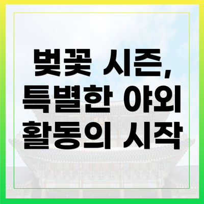 벚꽃 시즌, 특별한 야외 활동의 시작