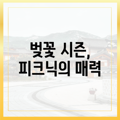 벚꽃 시즌, 피크닉의 매력