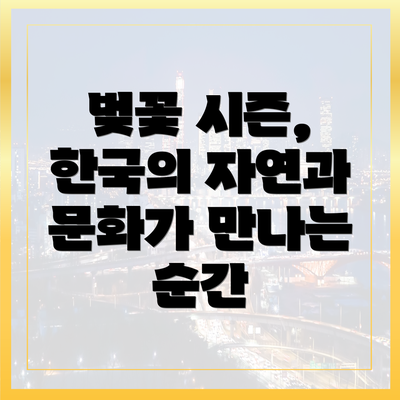 벚꽃 시즌, 한국의 자연과 문화가 만나는 순간