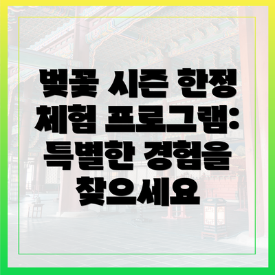 벚꽃 시즌 한정 체험 프로그램: 특별한 경험을 찾으세요