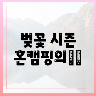 벚꽃 시즌 혼캠핑의魅力