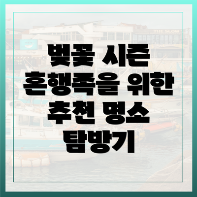 벚꽃 시즌 혼행족을 위한 추천 명소 탐방기