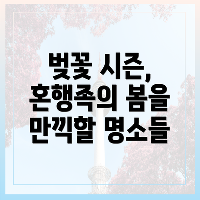 벚꽃 시즌, 혼행족의 봄을 만끽할 명소들