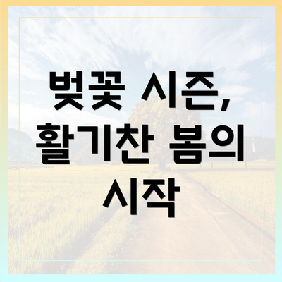 벚꽃 시즌, 활기찬 봄의 시작
