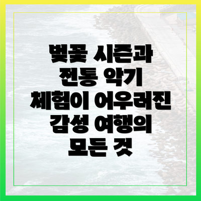 벚꽃 시즌과 전통 악기 체험이 어우러진 감성 여행의 모든 것