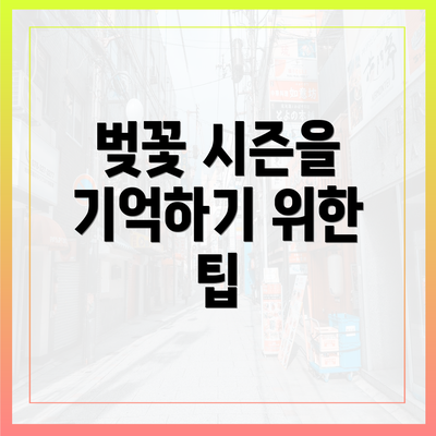 벚꽃 시즌을 기억하기 위한 팁