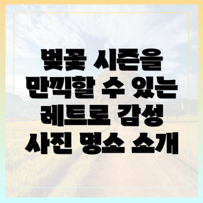 벚꽃 시즌을 만끽할 수 있는 레트로 감성 사진 명소 소개