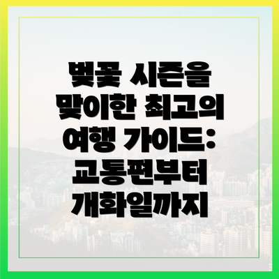 벚꽃 시즌을 맞이한 최고의 여행 가이드: 교통편부터 개화일까지