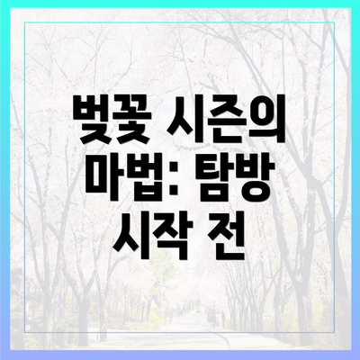 벚꽃 시즌의 마법: 탐방 시작 전