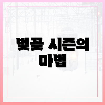 벚꽃 시즌의 마법