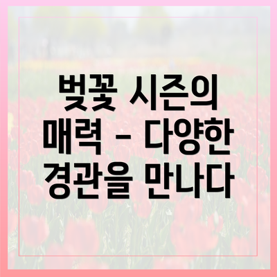 벚꽃 시즌의 매력 - 다양한 경관을 만나다