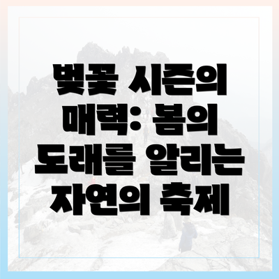 벚꽃 시즌의 매력: 봄의 도래를 알리는 자연의 축제