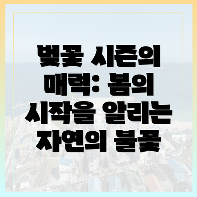 벚꽃 시즌의 매력: 봄의 시작을 알리는 자연의 불꽃