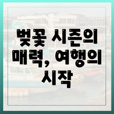 벚꽃 시즌의 매력, 여행의 시작