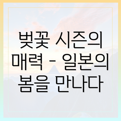 벚꽃 시즌의 매력 - 일본의 봄을 만나다