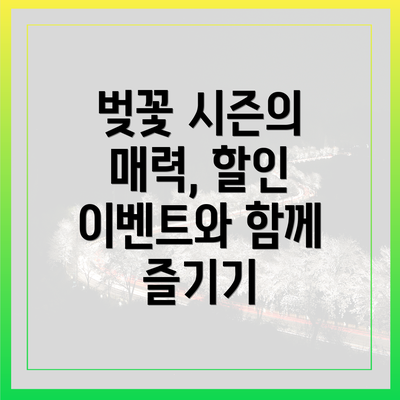 벚꽃 시즌의 매력, 할인 이벤트와 함께 즐기기