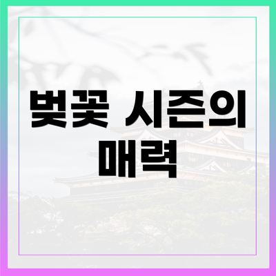 벚꽃 시즌의 매력