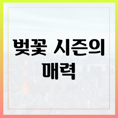 벚꽃 시즌의 매력