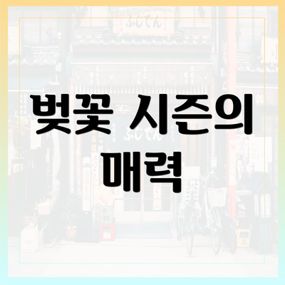 벚꽃 시즌의 매력
